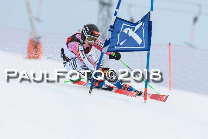 Int. FIS Rennen Damen, RS, Maria Alm 09.01.2018