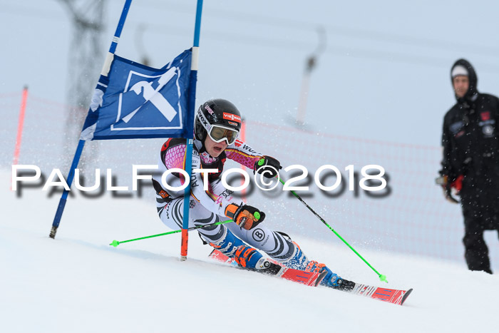 Int. FIS Rennen Damen, RS, Maria Alm 09.01.2018