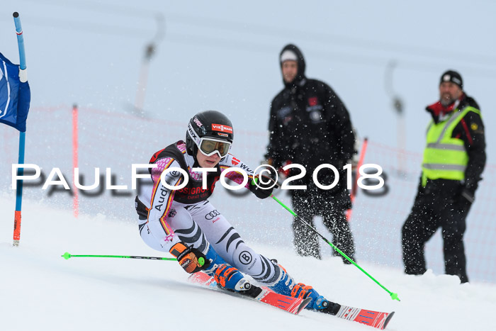 Int. FIS Rennen Damen, RS, Maria Alm 09.01.2018
