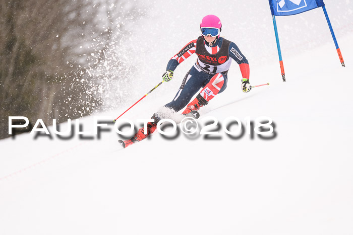 Int. FIS Rennen Damen, RS, Maria Alm 09.01.2018