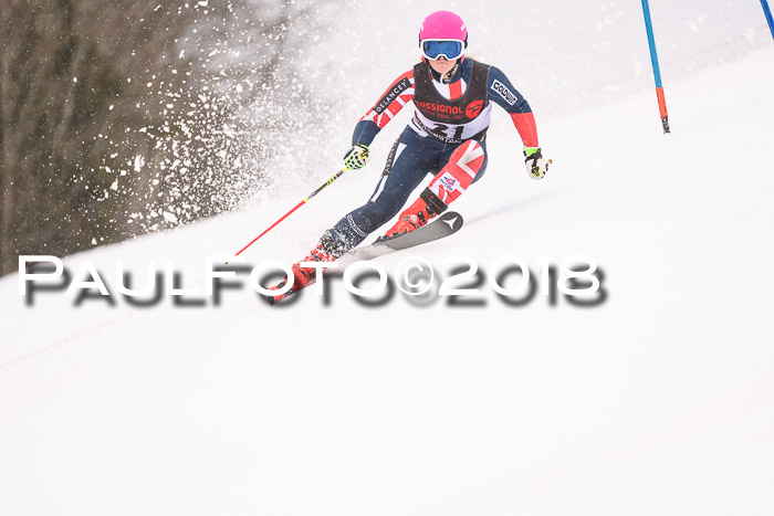 Int. FIS Rennen Damen, RS, Maria Alm 09.01.2018