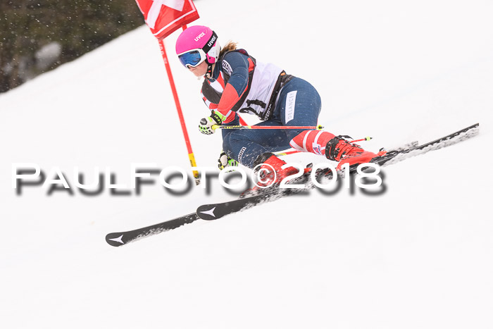 Int. FIS Rennen Damen, RS, Maria Alm 09.01.2018
