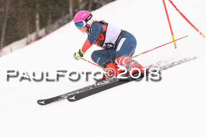 Int. FIS Rennen Damen, RS, Maria Alm 09.01.2018