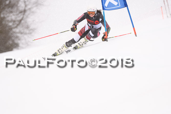 Int. FIS Rennen Damen, RS, Maria Alm 09.01.2018