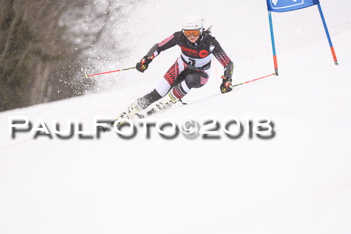 Int. FIS Rennen Damen, RS, Maria Alm 09.01.2018