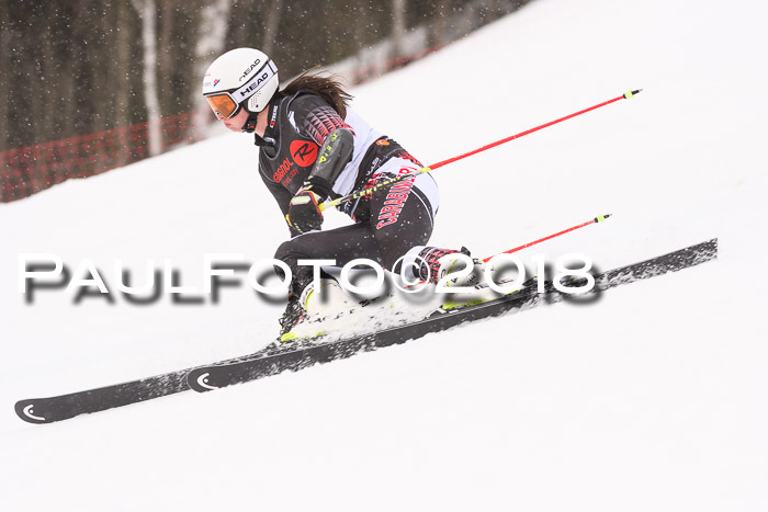 Int. FIS Rennen Damen, RS, Maria Alm 09.01.2018