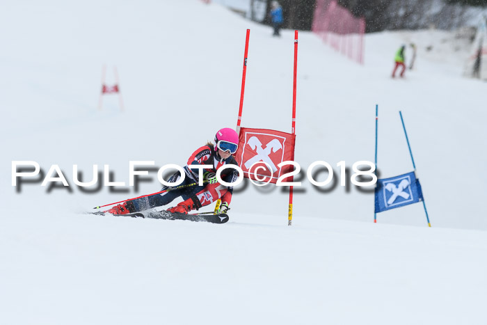 Int. FIS Rennen Damen, RS, Maria Alm 09.01.2018