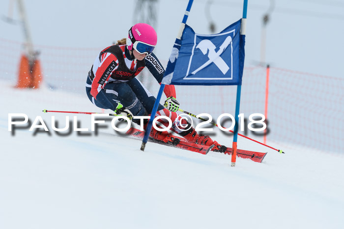 Int. FIS Rennen Damen, RS, Maria Alm 09.01.2018