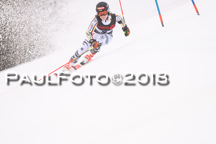 Int. FIS Rennen Damen, RS, Maria Alm 09.01.2018