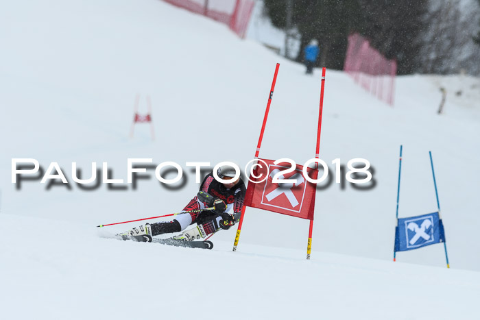 Int. FIS Rennen Damen, RS, Maria Alm 09.01.2018
