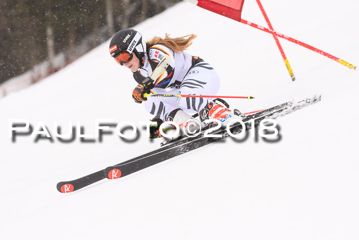 Int. FIS Rennen Damen, RS, Maria Alm 09.01.2018
