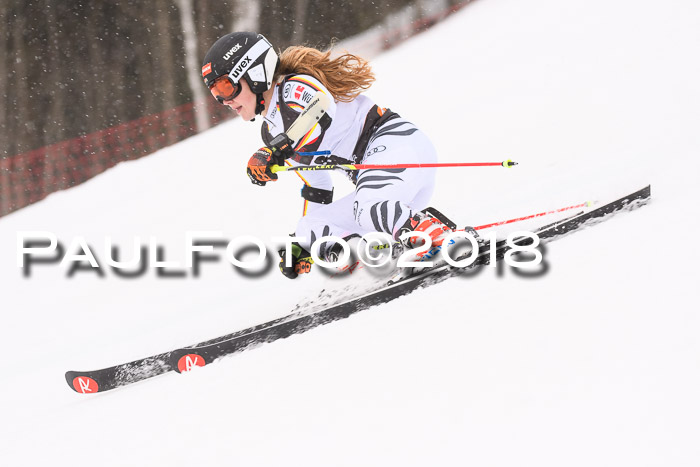 Int. FIS Rennen Damen, RS, Maria Alm 09.01.2018