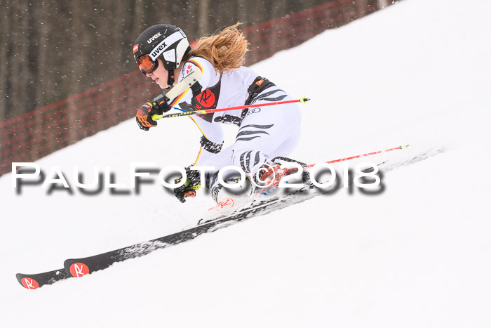 Int. FIS Rennen Damen, RS, Maria Alm 09.01.2018