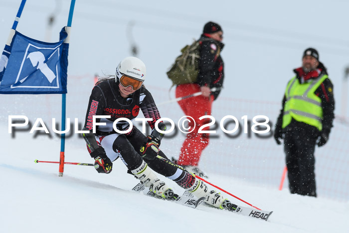 Int. FIS Rennen Damen, RS, Maria Alm 09.01.2018