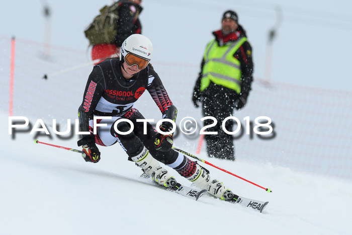 Int. FIS Rennen Damen, RS, Maria Alm 09.01.2018