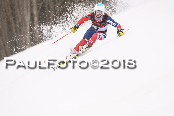 Int. FIS Rennen Damen, RS, Maria Alm 09.01.2018