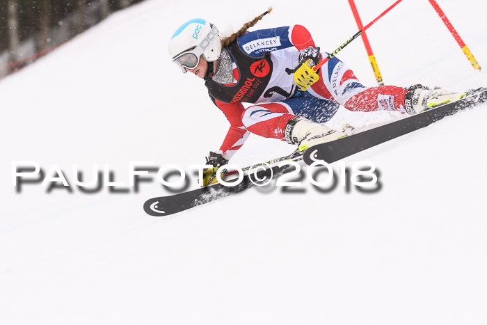Int. FIS Rennen Damen, RS, Maria Alm 09.01.2018