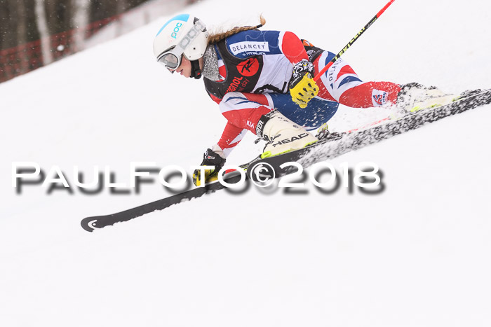 Int. FIS Rennen Damen, RS, Maria Alm 09.01.2018