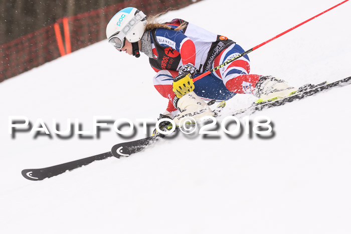 Int. FIS Rennen Damen, RS, Maria Alm 09.01.2018