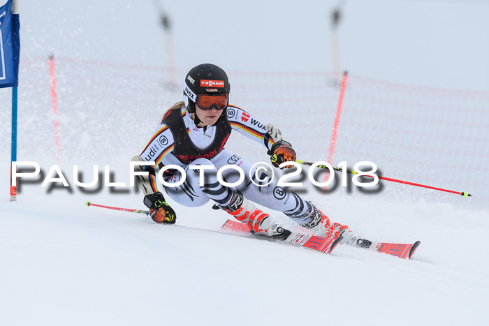 Int. FIS Rennen Damen, RS, Maria Alm 09.01.2018