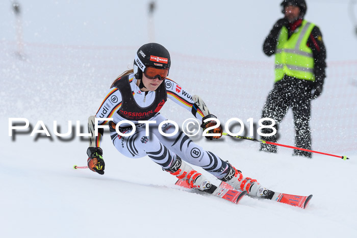 Int. FIS Rennen Damen, RS, Maria Alm 09.01.2018