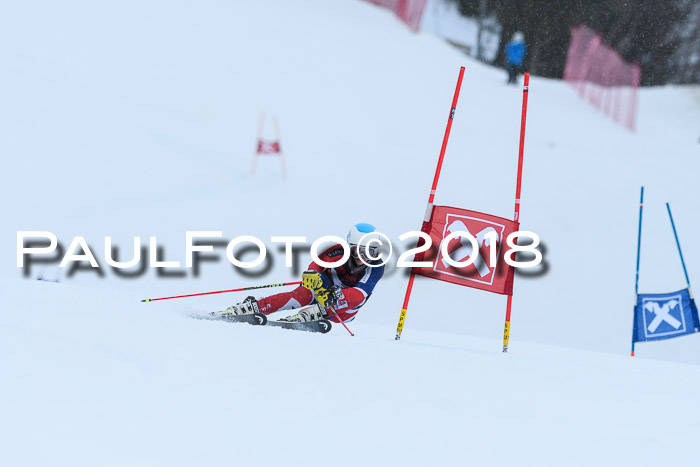 Int. FIS Rennen Damen, RS, Maria Alm 09.01.2018