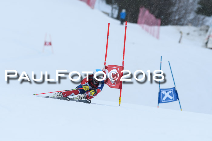 Int. FIS Rennen Damen, RS, Maria Alm 09.01.2018