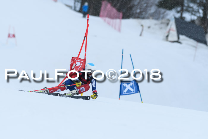 Int. FIS Rennen Damen, RS, Maria Alm 09.01.2018