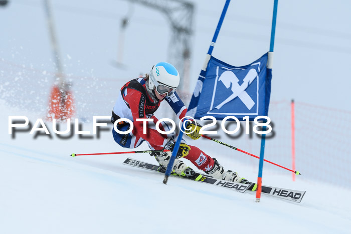 Int. FIS Rennen Damen, RS, Maria Alm 09.01.2018