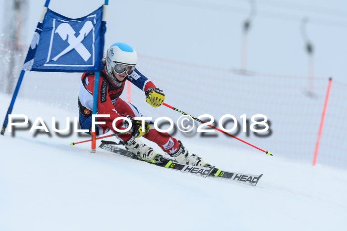 Int. FIS Rennen Damen, RS, Maria Alm 09.01.2018
