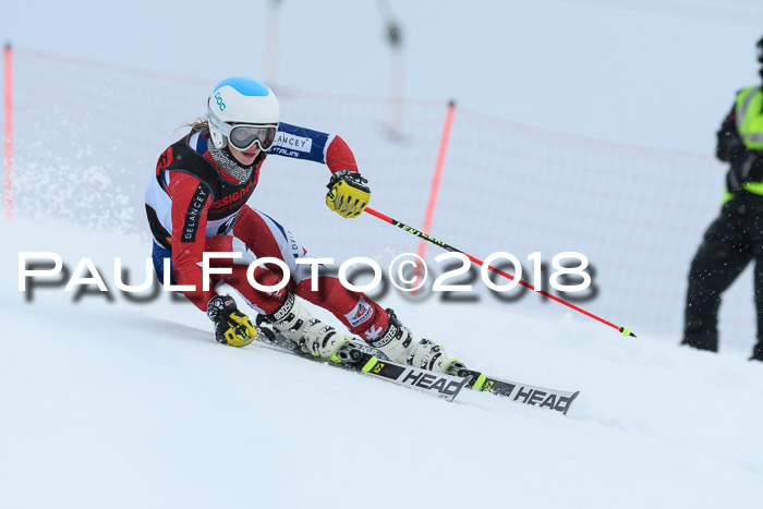 Int. FIS Rennen Damen, RS, Maria Alm 09.01.2018