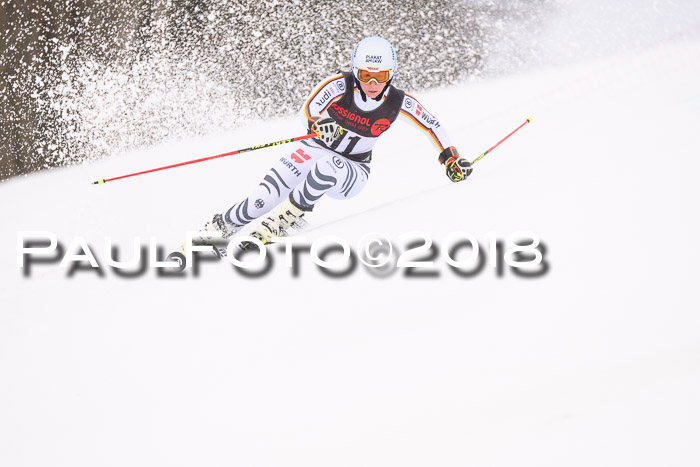 Int. FIS Rennen Damen, RS, Maria Alm 09.01.2018
