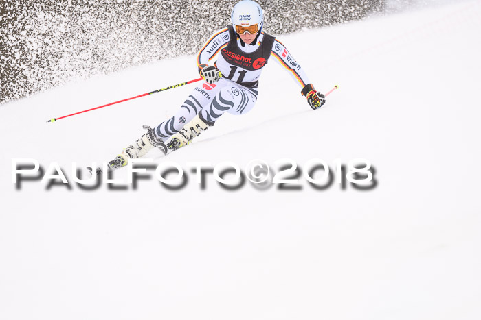 Int. FIS Rennen Damen, RS, Maria Alm 09.01.2018