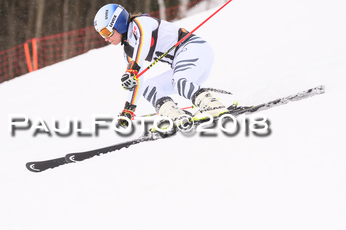 Int. FIS Rennen Damen, RS, Maria Alm 09.01.2018