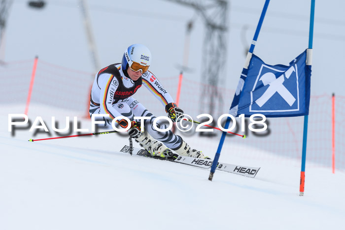 Int. FIS Rennen Damen, RS, Maria Alm 09.01.2018