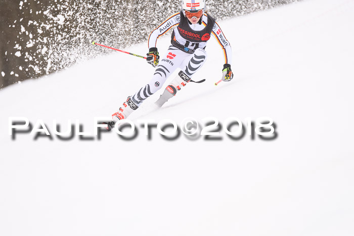Int. FIS Rennen Damen, RS, Maria Alm 09.01.2018