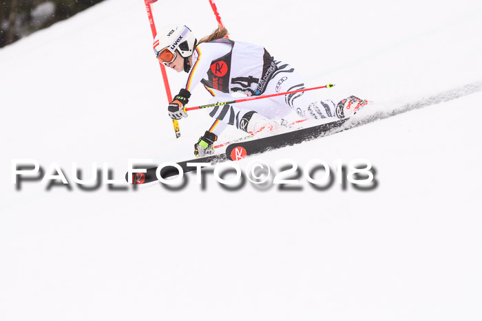 Int. FIS Rennen Damen, RS, Maria Alm 09.01.2018