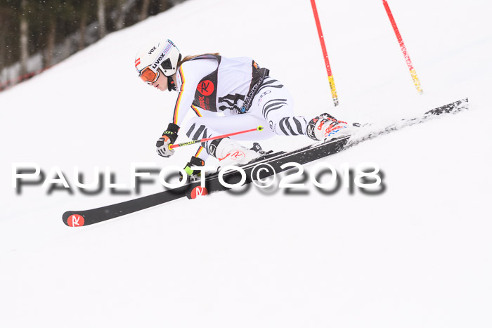 Int. FIS Rennen Damen, RS, Maria Alm 09.01.2018