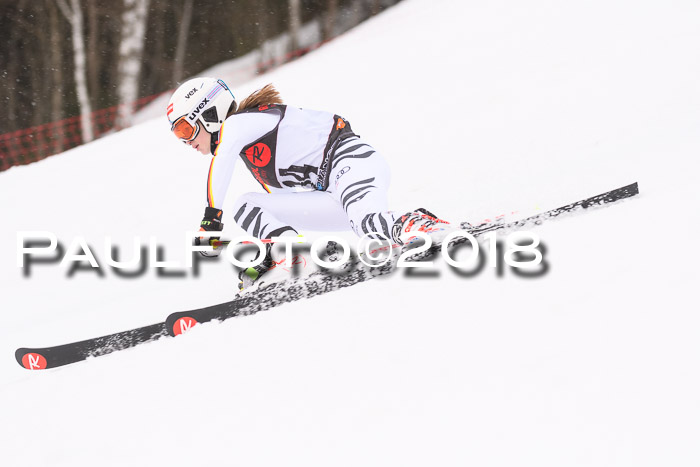 Int. FIS Rennen Damen, RS, Maria Alm 09.01.2018
