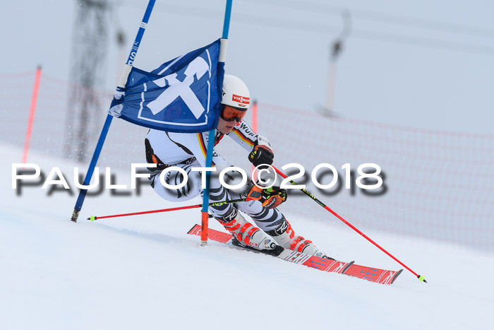 Int. FIS Rennen Damen, RS, Maria Alm 09.01.2018