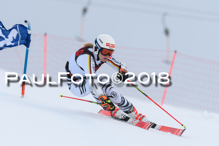 Int. FIS Rennen Damen, RS, Maria Alm 09.01.2018