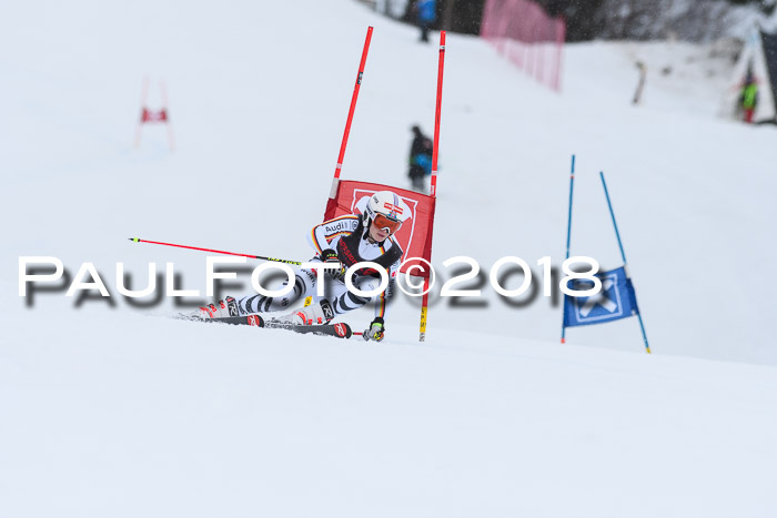 Int. FIS Rennen Damen, RS, Maria Alm 09.01.2018