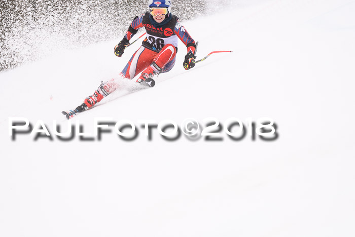 Int. FIS Rennen Damen, RS, Maria Alm 09.01.2018