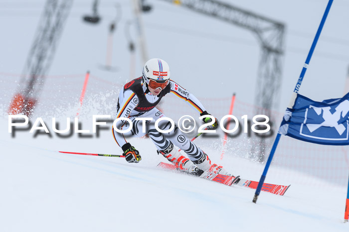 Int. FIS Rennen Damen, RS, Maria Alm 09.01.2018
