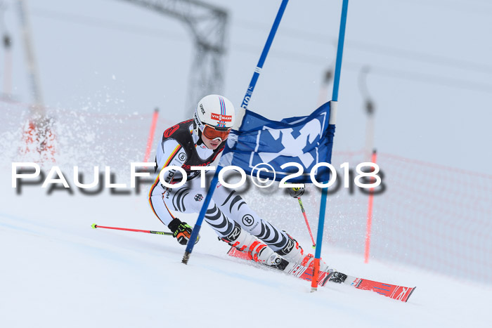 Int. FIS Rennen Damen, RS, Maria Alm 09.01.2018