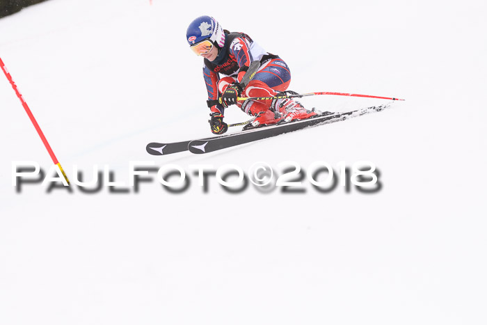 Int. FIS Rennen Damen, RS, Maria Alm 09.01.2018