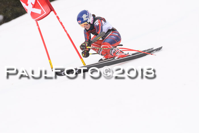 Int. FIS Rennen Damen, RS, Maria Alm 09.01.2018