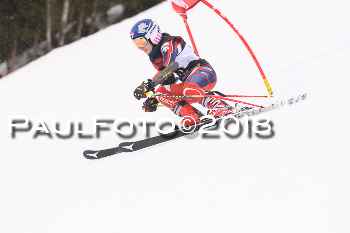 Int. FIS Rennen Damen, RS, Maria Alm 09.01.2018