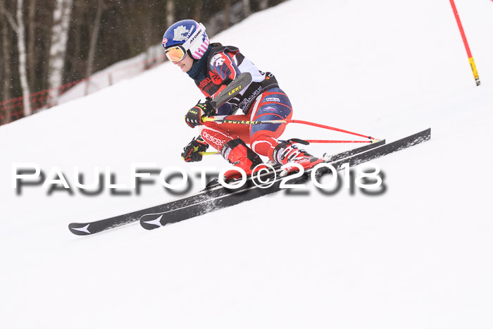 Int. FIS Rennen Damen, RS, Maria Alm 09.01.2018