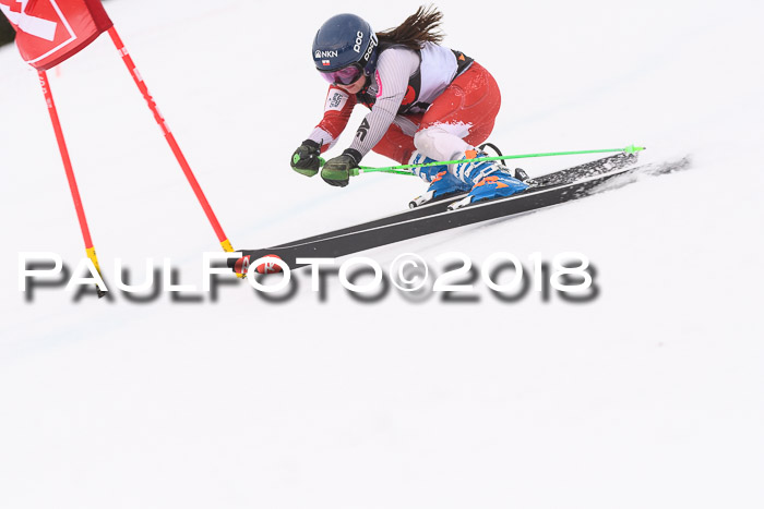 Int. FIS Rennen Damen, RS, Maria Alm 09.01.2018